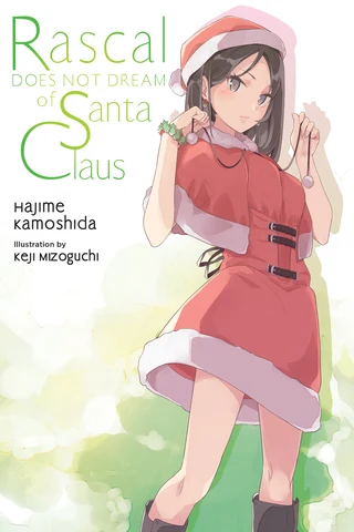 Rascal Does Not Dream of Santa Claus - Cilt 13 kapak görseli