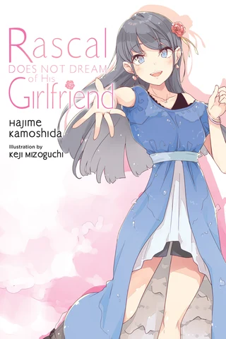 Rascal Does Not Dream of a Girl - Cilt 14 kapak görseli