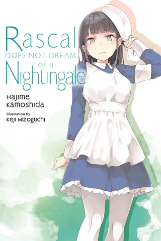 Rascal Does Not Dream of a Nightingale - Cilt 11 kapak görseli