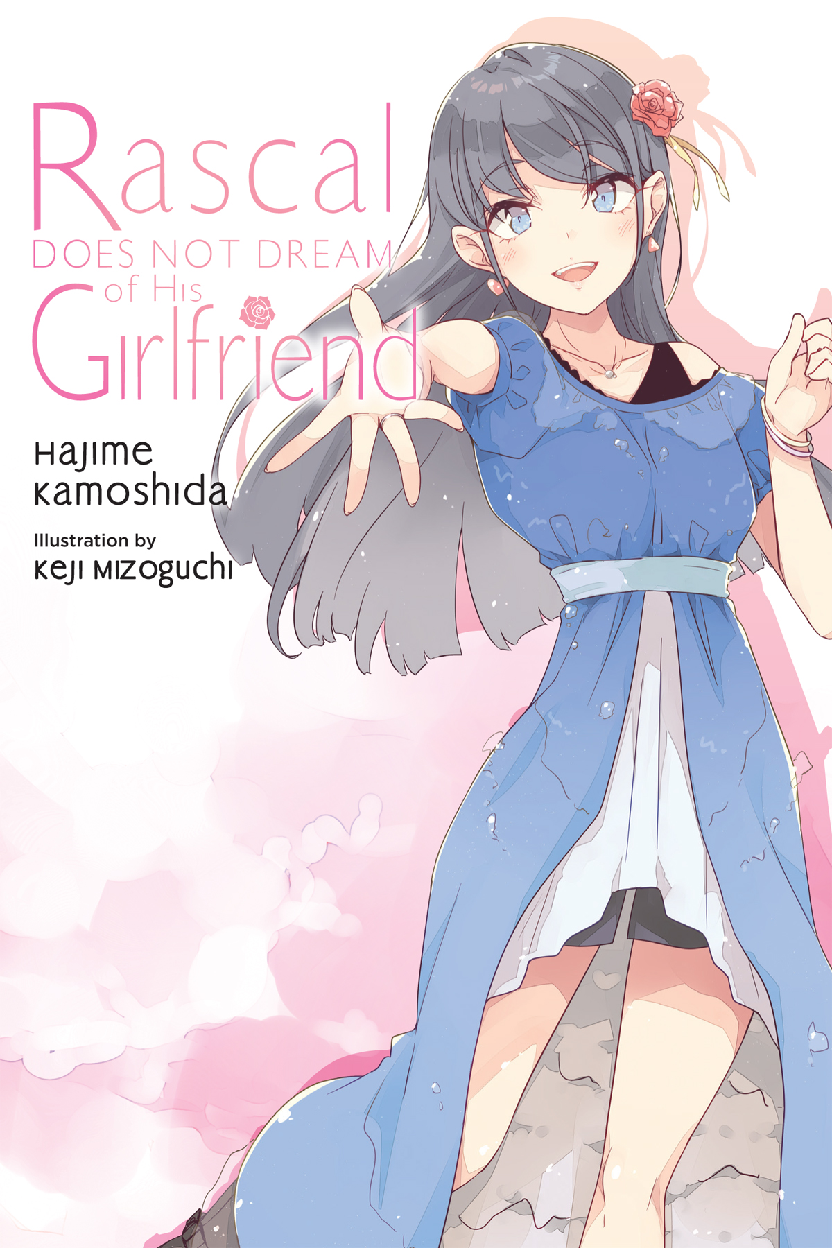 Rascal Does Not Dream of a Girl - Cilt 14