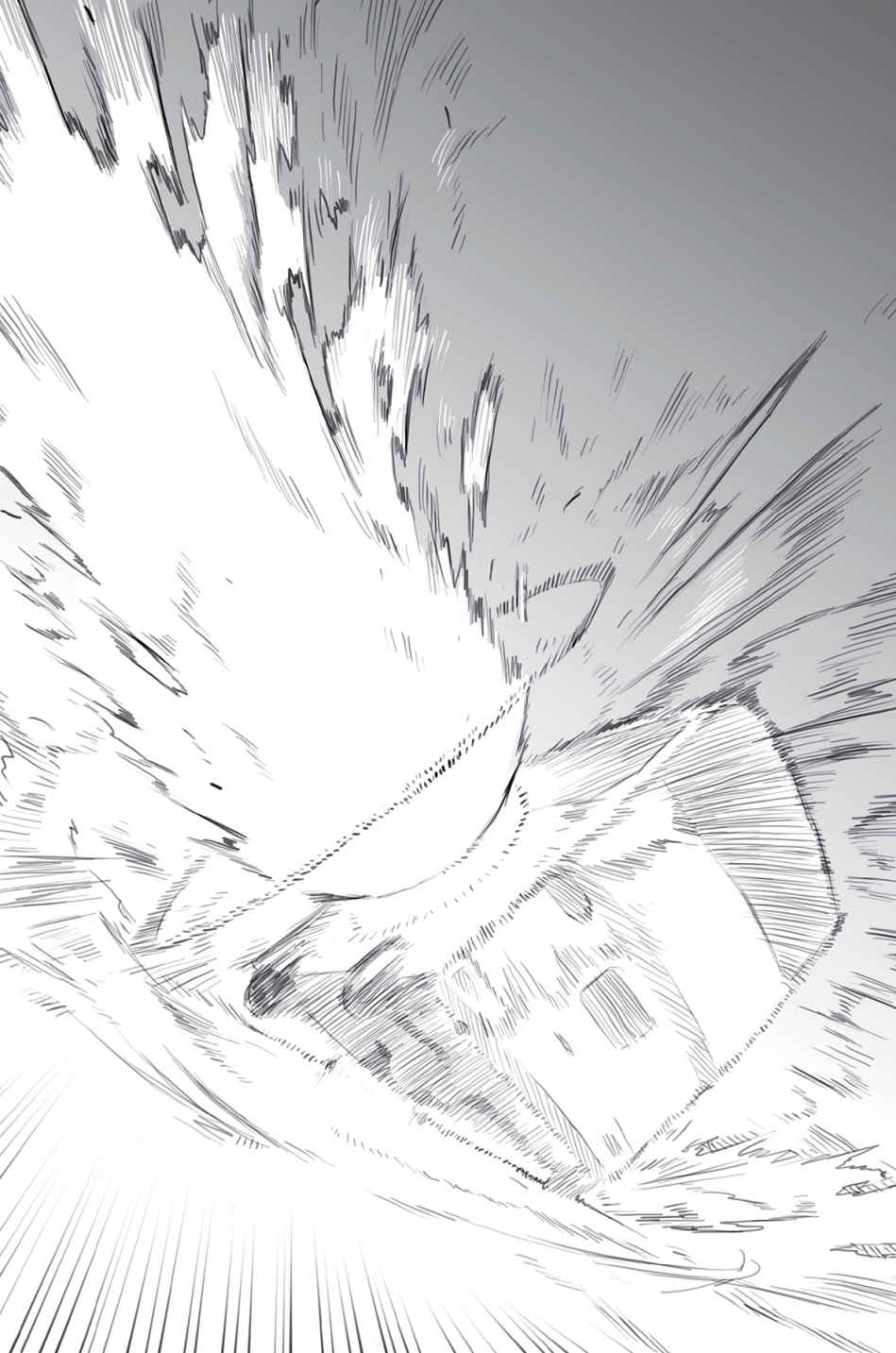 00017.jpeg