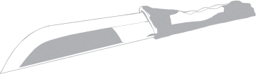 Art_P209.jpg