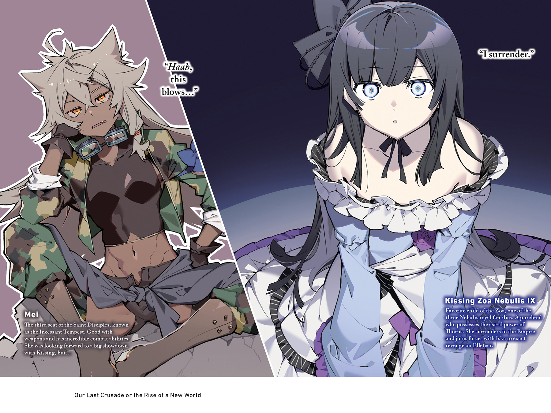 Art_insert002-003.jpg