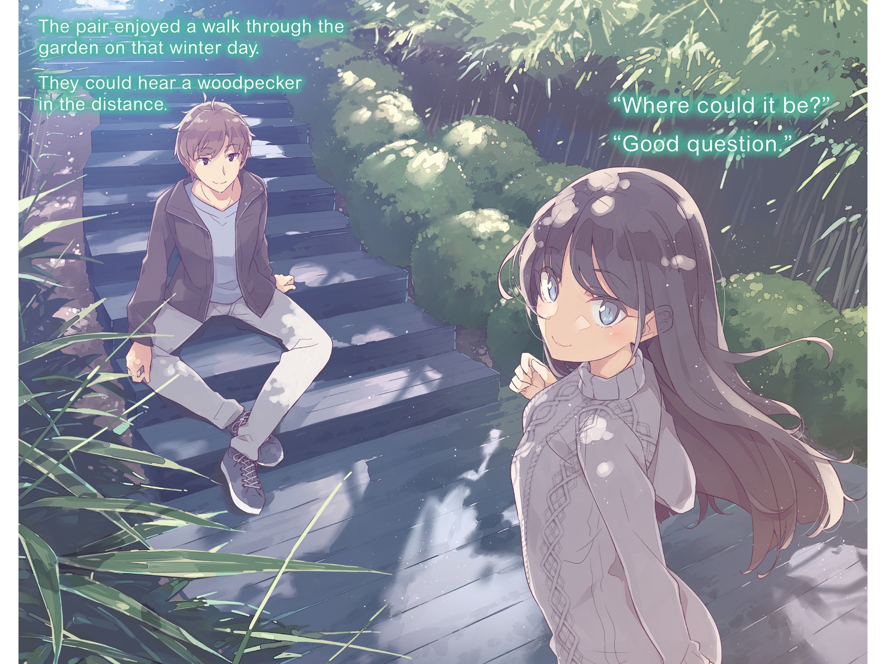 Art_insert002.jpg