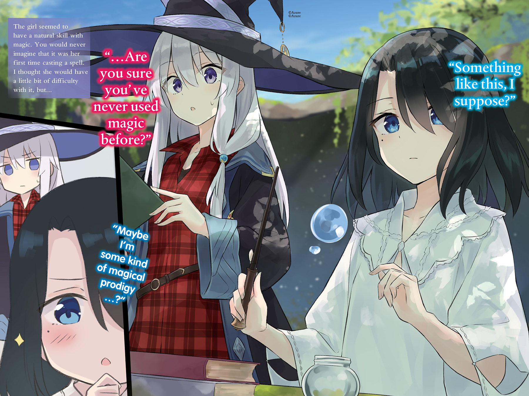 Art_insert003.jpg