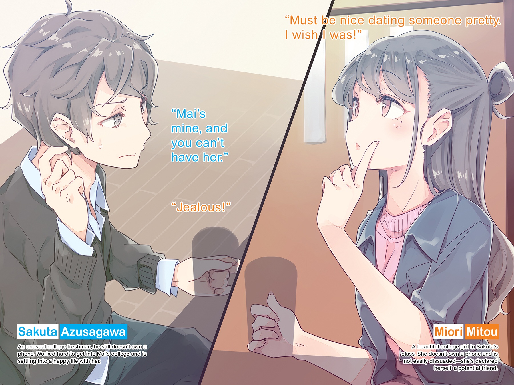 Art_insert003.jpg