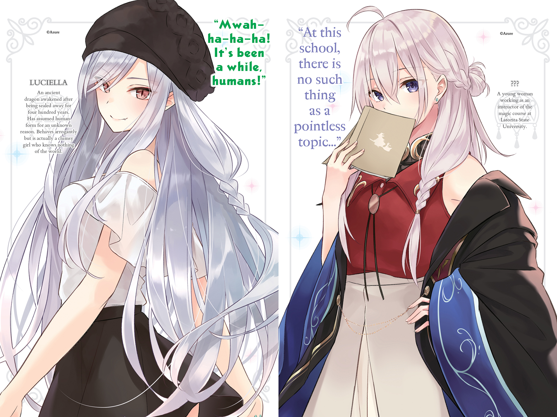 Art_insert003.jpg