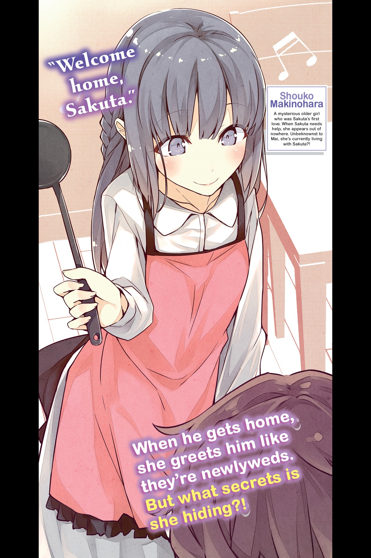 Art_insert003.jpg