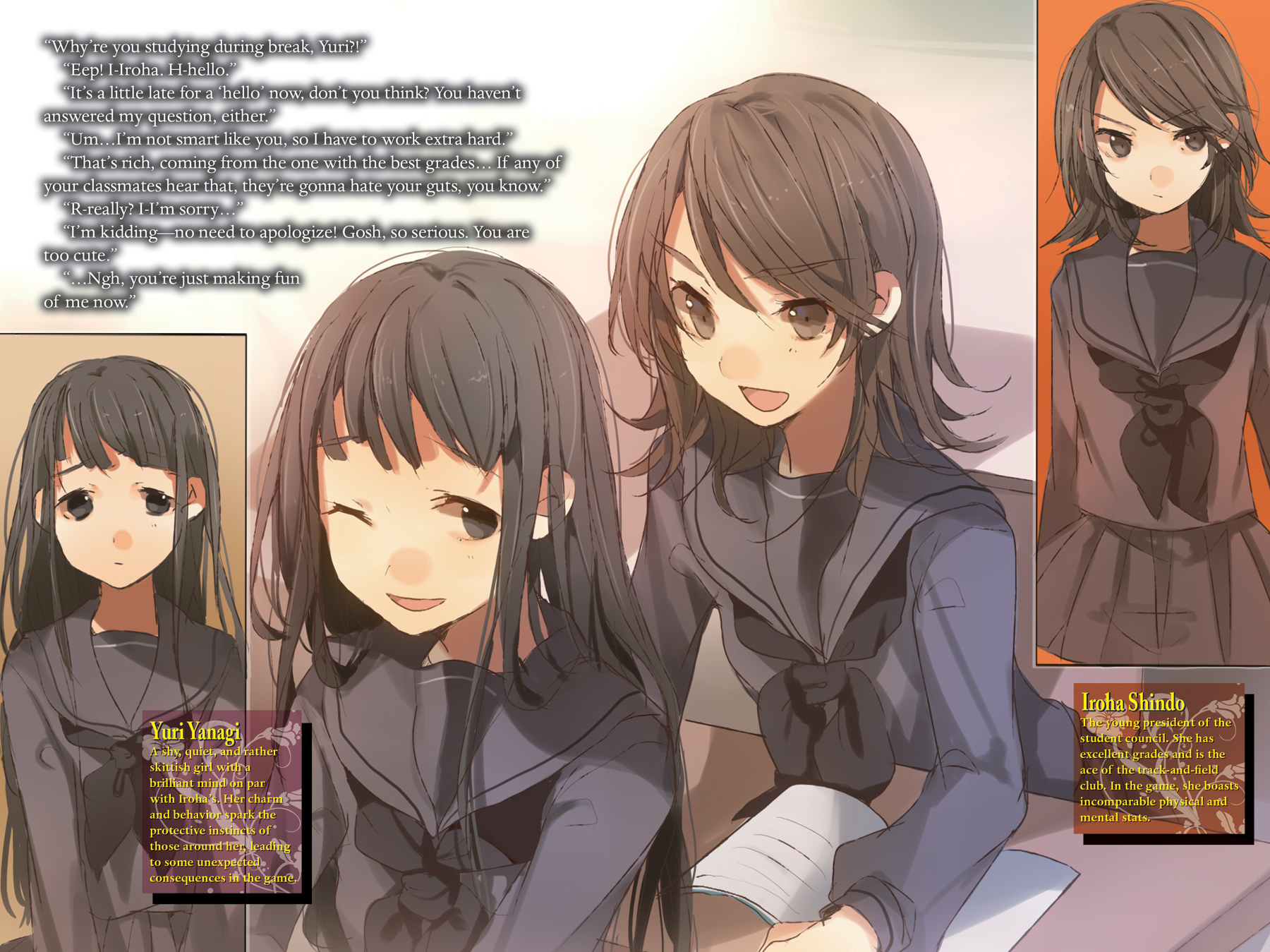 Art_insert003.jpg