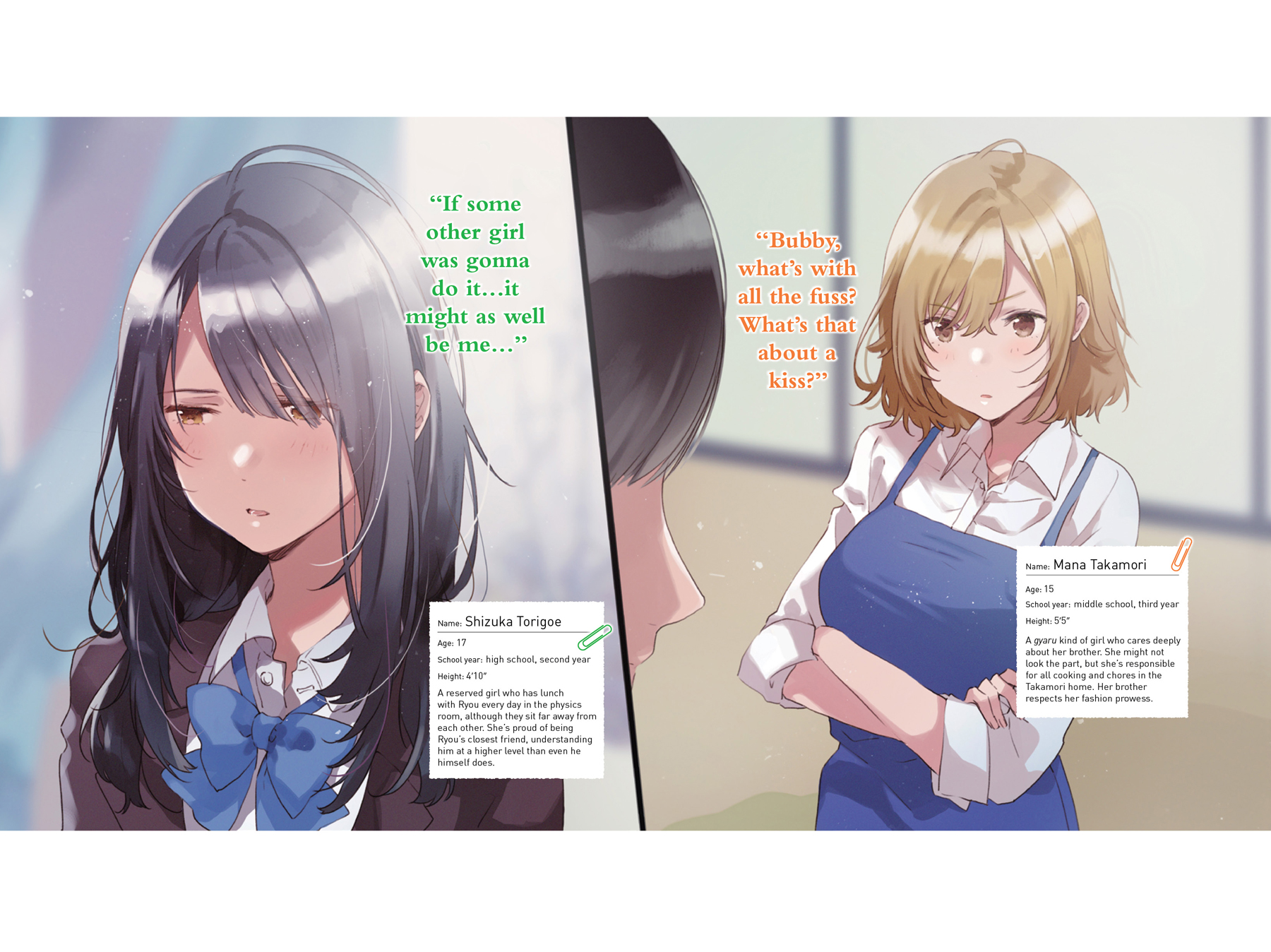 Art_insert004.jpg
