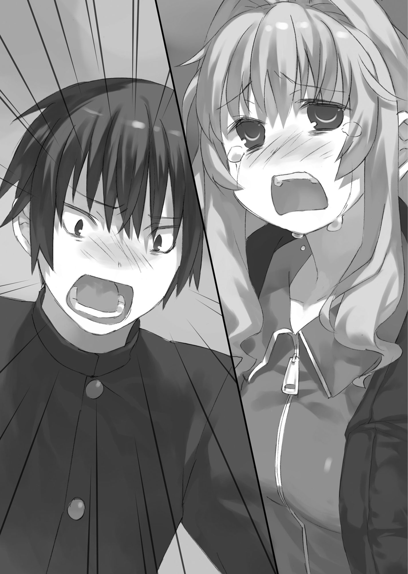 Toradora-Vol10_INTERIORILLUSTRATIONS_5.jpg