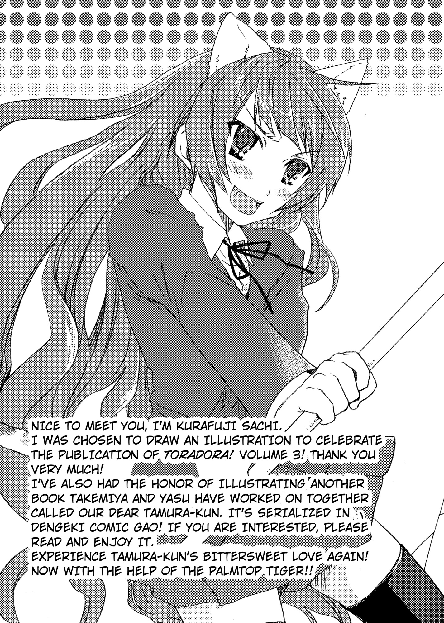 Toradora-Vol3_AFTERWORD_.jpg