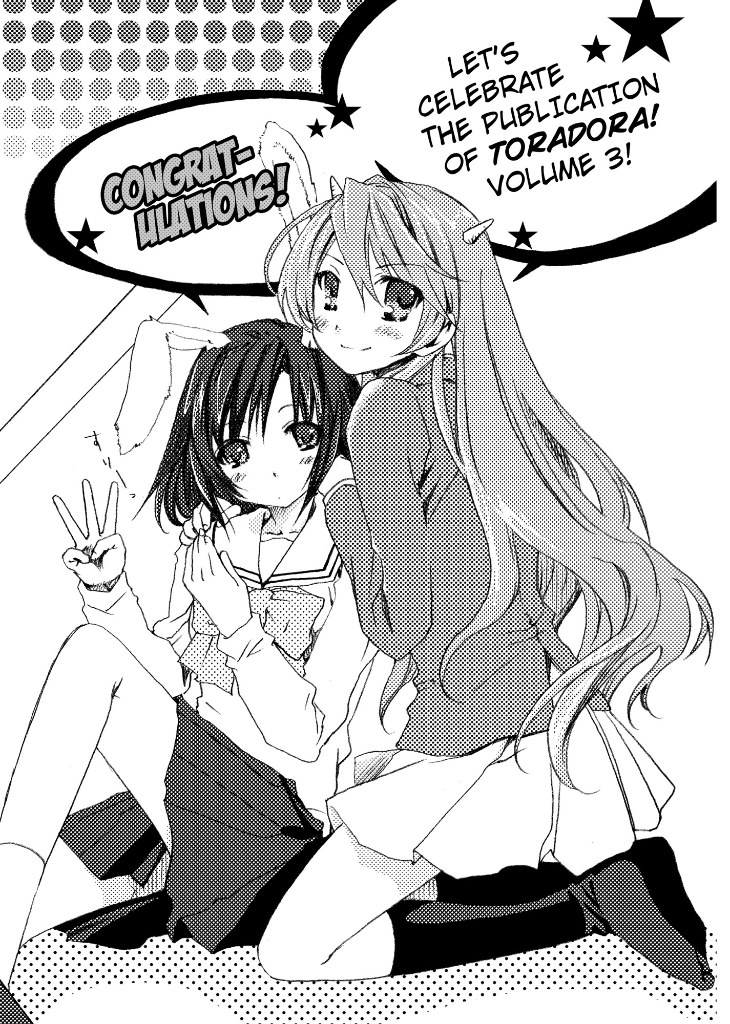 Toradora-Vol3_AFTERWORD_2.jpg