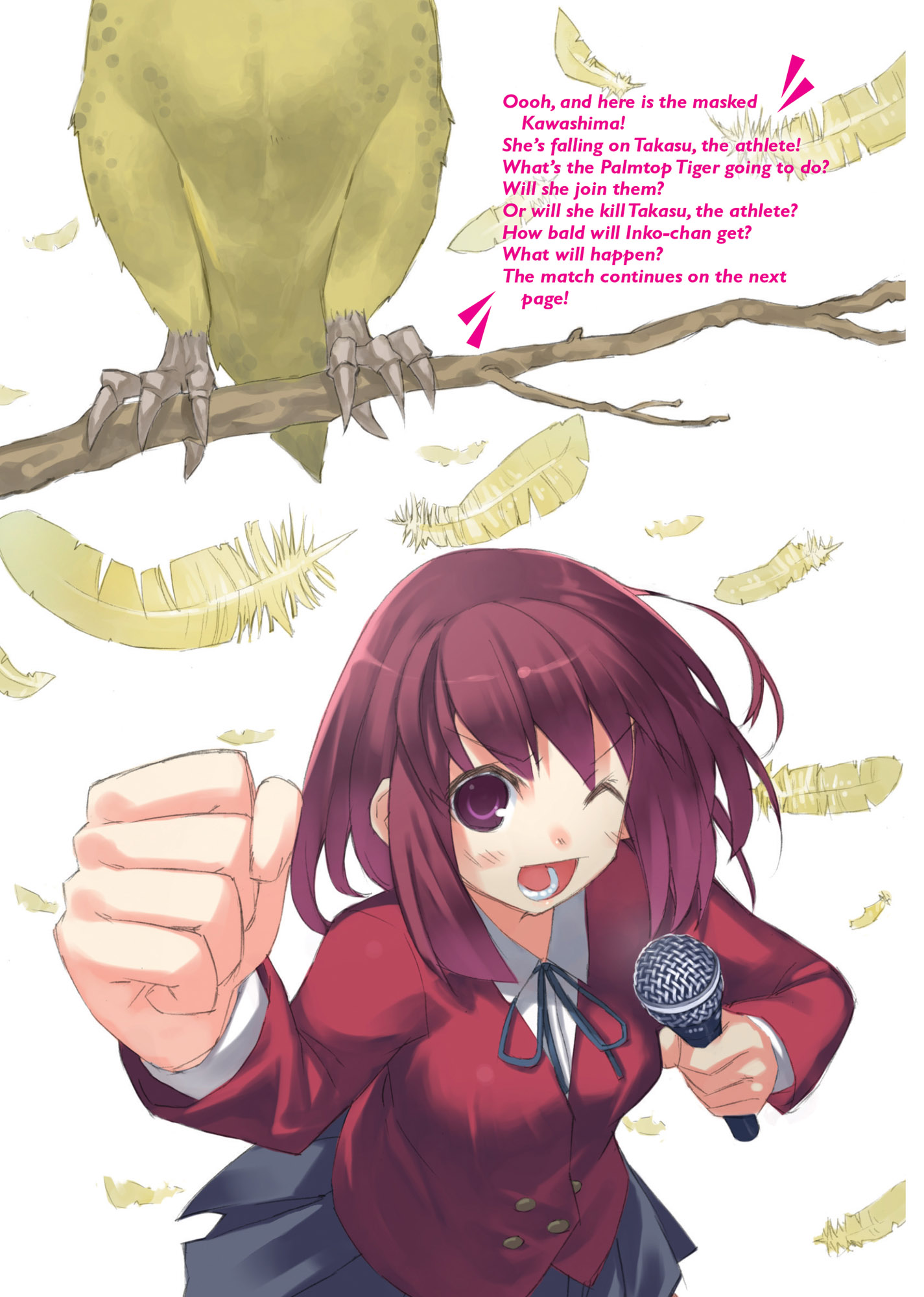 Toradora-Vol3_COLORGALLERY_8.jpg