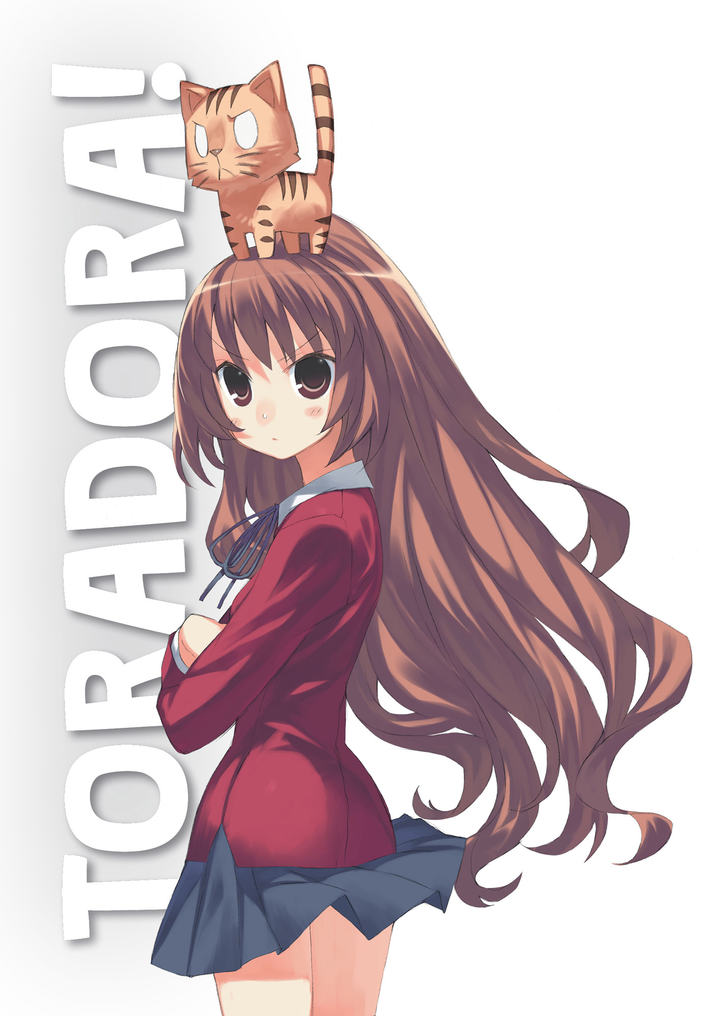 Toradora-Vol9_COLORGALLERY_4.jpg