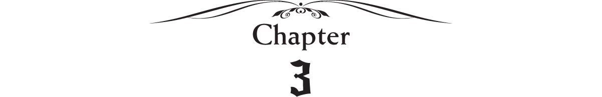 ch3.jpg