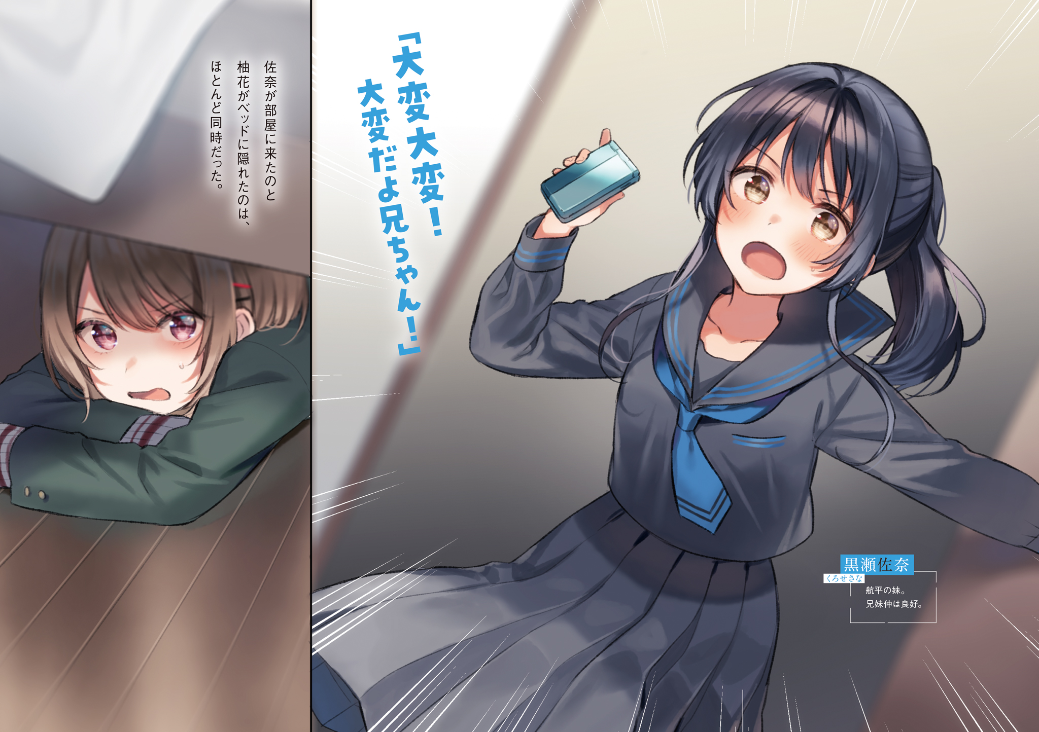 embed0002_HD.jpg