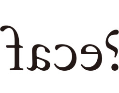g021.jpg
