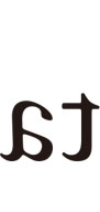 g317.jpg