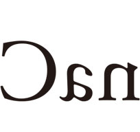 g508.jpg