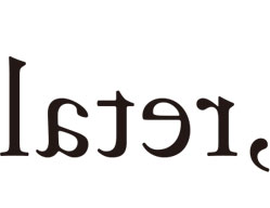 g519.jpg