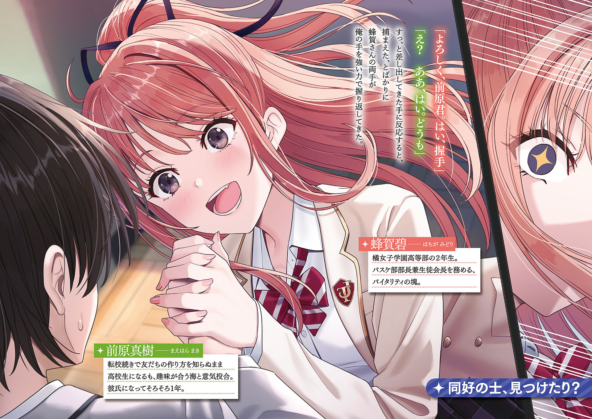 image_rsrc4SF.jpg
