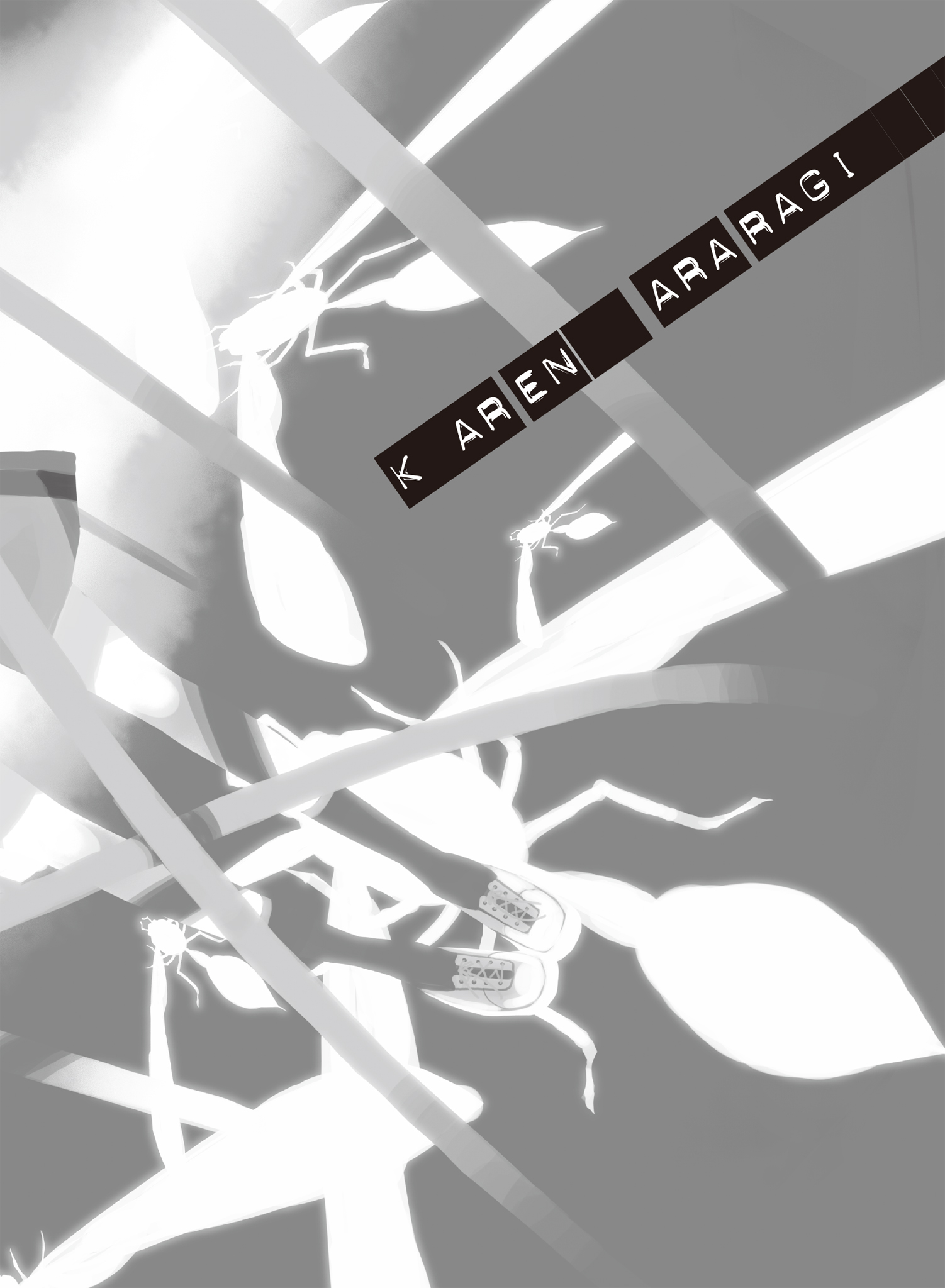 p007.jpg