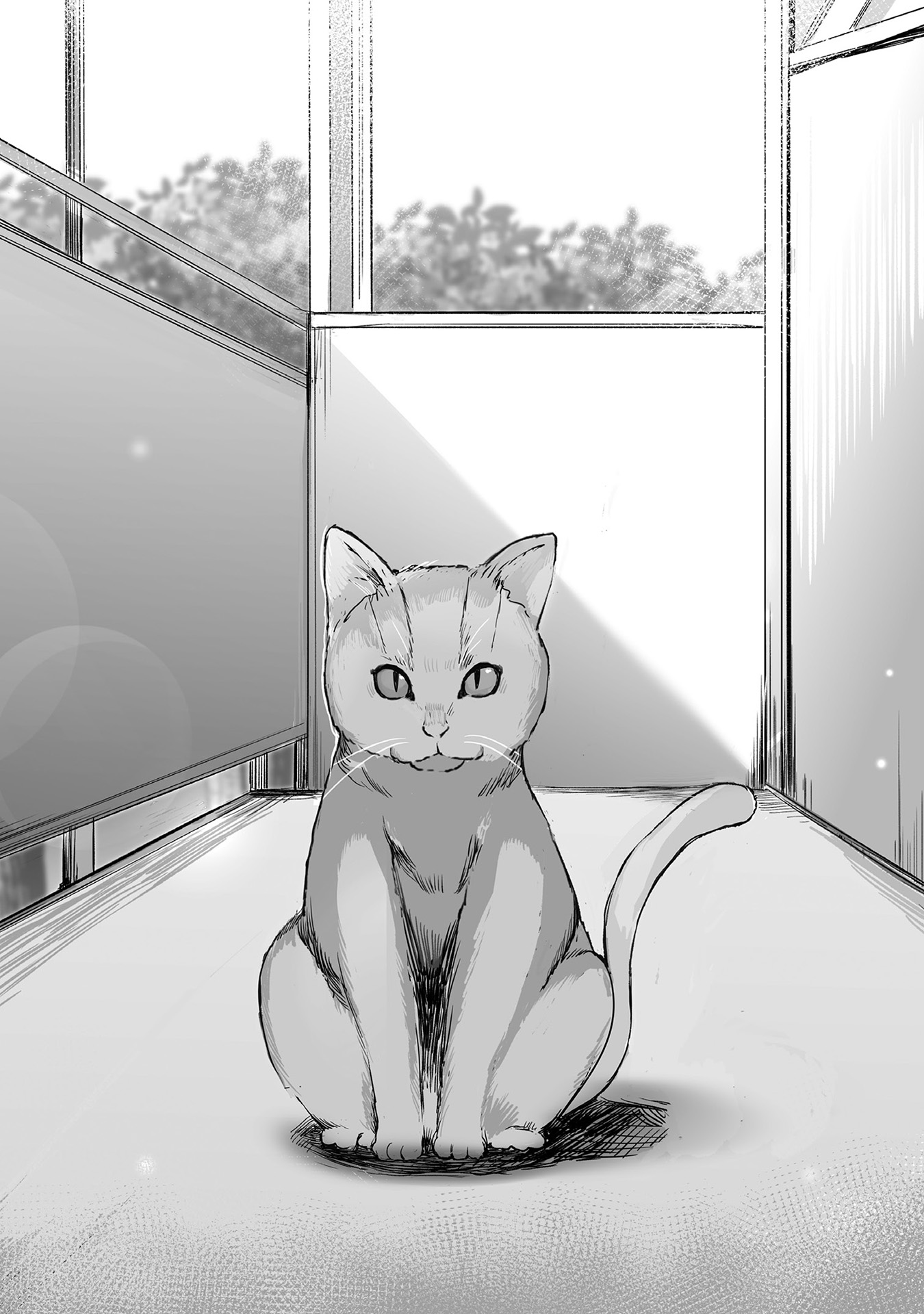 ph_otome13_ill009.jpg
